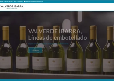 Valverde Ibarra – Líneas de embotellado